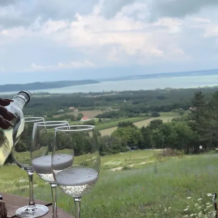 Dağ evi Kisleshegy Vaszoly Vendeghaz