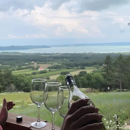 Kisleshegy Vaszoly Vendeghaz Dağ evi *